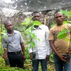 L'ONG Agrinotech plantant des arbres en Haiti